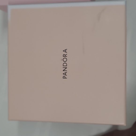 Pandora Leather Jewelry Box - Picture 9 of 11